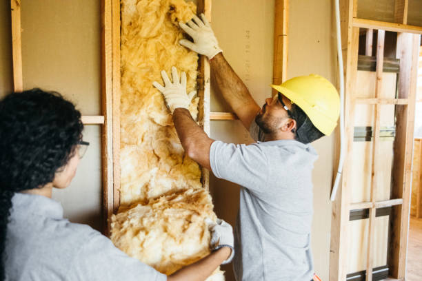 Best Insulation Inspection Services  in Dale, PA