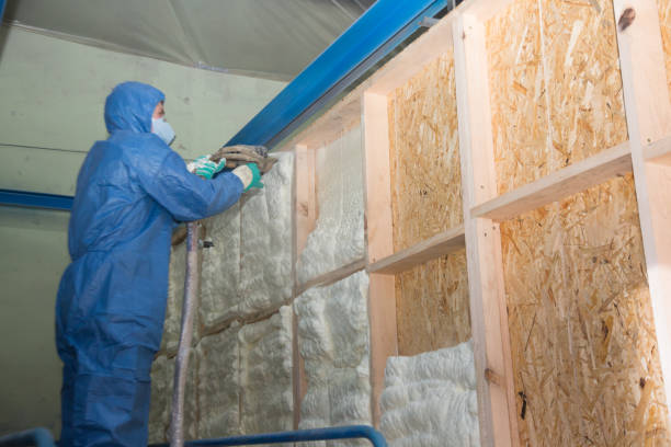 Insulation Repair Services in Dale, PA