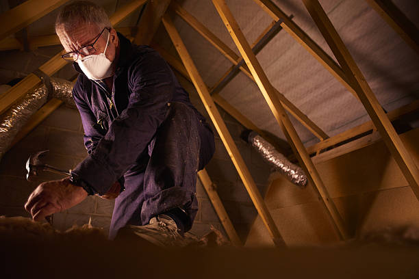 Best Energy-efficient Insulation  in Dale, PA